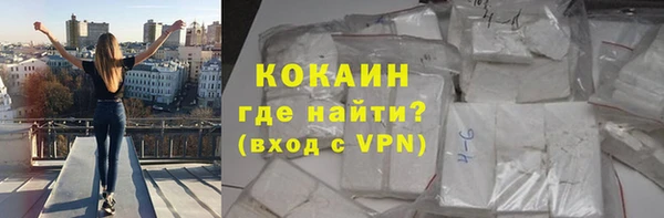 прущие грибы Осташков