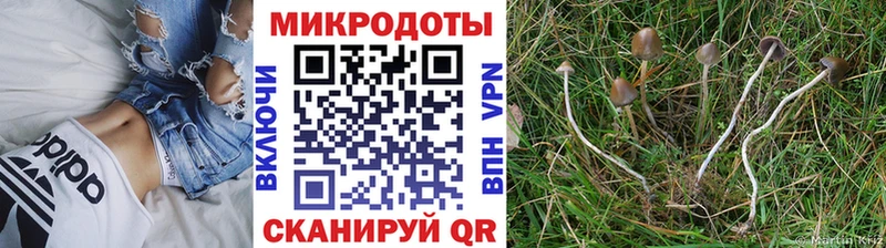 mega ТОР  Среднеуральск  Галлюциногенные грибы прущие грибы 
